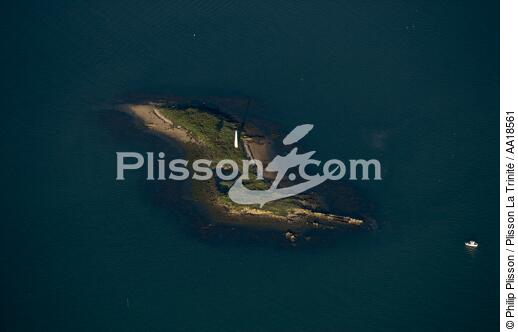 Le Petit Veizit dans le Golfe du Morbihan. - © Philip Plisson / Plisson La Trinité / AA18561 - Nos reportages photos - Amer