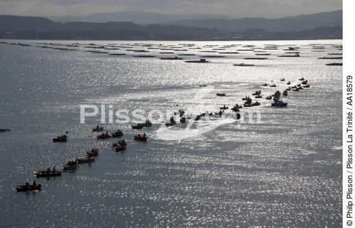 Pêche a la palourde en Galice - © Philip Plisson / Plisson La Trinité / AA18579 - Nos reportages photos - Mytiliculture