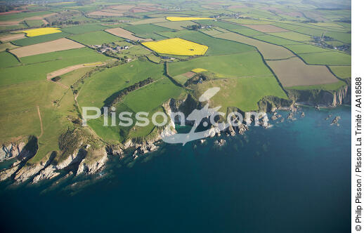 On the Devon coast - © Philip Plisson / Plisson La Trinité / AA18588 - Photo Galleries - Field