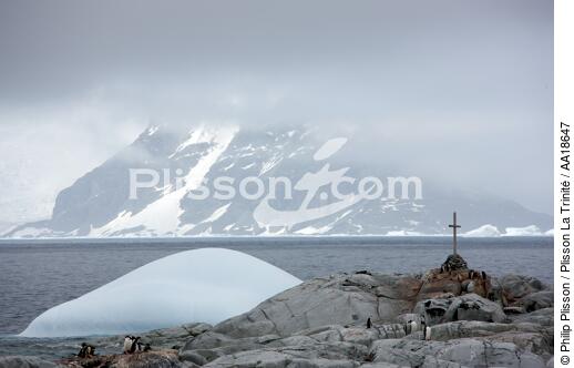 Sur l'île de Peterman en Antarctique. - © Philip Plisson / Plisson La Trinité / AA18647 - Nos reportages photos - Antarctique