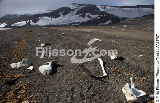 L'île de la déception en Antarctique. - © Philip Plisson / Plisson La Trinité / AA18707 - Nos reportages photos - Ile (Antarctique)