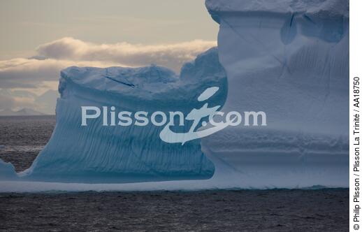 Antarctique. - © Philip Plisson / Plisson La Trinité / AA18750 - Nos reportages photos - Antarctique