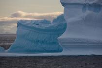 Antarctique. © Philip Plisson / Plisson La Trinité / AA18750 - Nos reportages photos - Antarctique