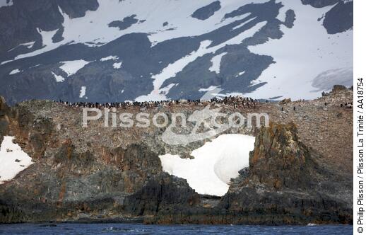 Antarctique. - © Philip Plisson / Plisson La Trinité / AA18754 - Nos reportages photos - Montagne