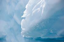 Antarctique. © Philip Plisson / Plisson La Trinité / AA18759 - Nos reportages photos - Glace