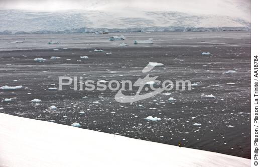 Antarctique. - © Philip Plisson / Plisson La Trinité / AA18784 - Nos reportages photos - Glacier