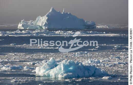 Antarctique. - © Philip Plisson / Plisson La Trinité / AA18901 - Nos reportages photos - Glace