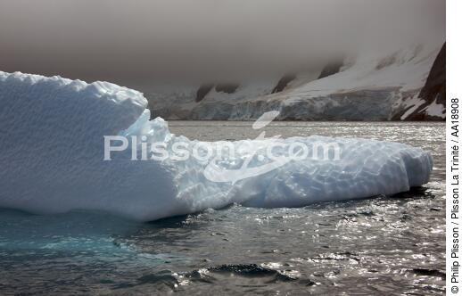 Antarctique. - © Philip Plisson / Plisson La Trinité / AA18908 - Nos reportages photos - Glace
