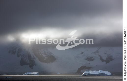 Antarctique. - © Philip Plisson / Plisson La Trinité / AA18916 - Nos reportages photos - Antarctique
