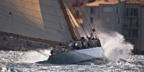 Tuiga the 2008 Voiles de Saint-Tropez. © Philip Plisson / Plisson La Trinité / AA18935 - Photo Galleries - Classic Yachting