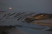 La rivière d'Etel © Philip Plisson / Plisson La Trinité / AA19229 - Nos reportages photos - Parc à huitres