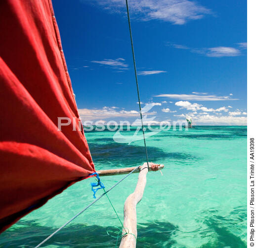 Malagasy sails - © Philip Plisson / Plisson La Trinité / AA19398 - Photo Galleries - Sea decoration