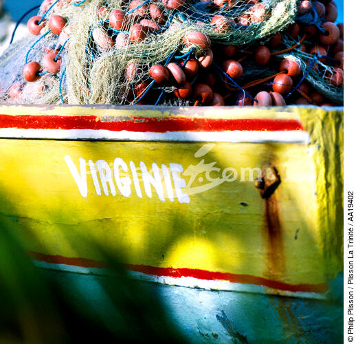 Etrave en Martinique - © Philip Plisson / Plisson La Trinité / AA19402 - Nos reportages photos - Elément d'un bateau