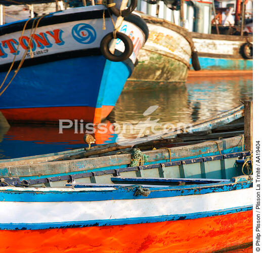 Fishing boats in Cochin - © Philip Plisson / Plisson La Trinité / AA19404 - Photo Galleries - Inshore Fishing in Kerala, India