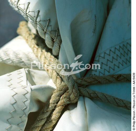 Rigging. - © Philip Plisson / Plisson La Trinité / AA19439 - Photo Galleries - Sea decoration