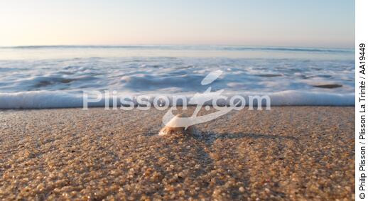 On kervilen beach - © Philip Plisson / Plisson La Trinité / AA19449 - Photo Galleries - Beach