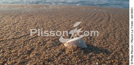On kervilen beach - © Philip Plisson / Plisson La Trinité / AA19451 - Photo Galleries - 16/9 horizontal