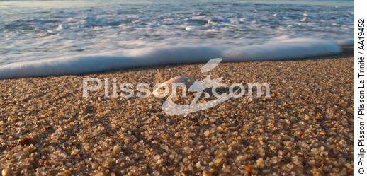 On kervilen beach - © Philip Plisson / Plisson La Trinité / AA19452 - Photo Galleries - Shell
