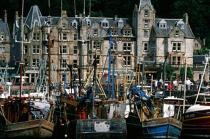 The port Oban © Philip Plisson / Plisson La Trinité / AA19497 - Photo Galleries - Scotland