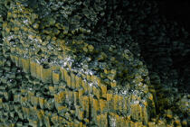 L'île de Staffa © Philip Plisson / Plisson La Trinité / AA19511 - Nos reportages photos - Ile [Eco]