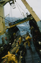 Armement lorientais, à l'ouest des Hérides, acheminant leur pêche © Didier Perron / Plisson La Trinité / AA19520 - Nos reportages photos - Ecosse