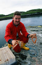 A lobster fisherman in Scotland © Philip Plisson / Plisson La Trinité / AA19536 - Photo Galleries - Fauna