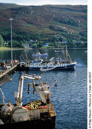 Ullapool, port de pêche abrité dans le Loch Broom - © Philip Plisson / Plisson La Trinité / AA19537 - Nos reportages photos - Ecosse