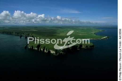 Duncansby Head, région propice à la culture céréalière - © Philip Plisson / Plisson La Trinité / AA19556 - Nos reportages photos - Site [Eco]