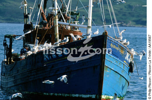 Port de Stromness - © Philip Plisson / Plisson La Trinité / AA19567 - Nos reportages photos - Ecosse