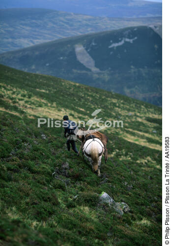 Traditional hunting stag in the Highlands - © Philip Plisson / Plisson La Trinité / AA19583 - Photo Galleries - Leisure