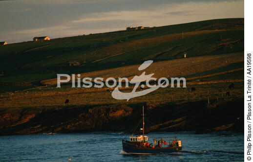 A fishing boat in Scotland - © Philip Plisson / Plisson La Trinité / AA19598 - Photo Galleries - Scotland
