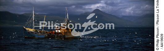 La pêche dans les Hébrides - © Philip Plisson / Plisson La Trinité / AA19609 - Nos reportages photos - Ecosse