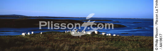 L'île de North Uist - © Philip Plisson / Plisson La Trinité / AA19617 - Nos reportages photos - Ecosse