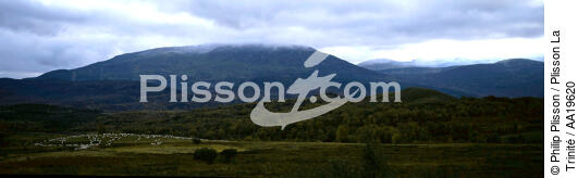 Les moutons dans les Highlands - © Philip Plisson / Plisson La Trinité / AA19620 - Nos reportages photos - Ecosse