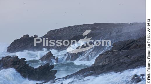 La côte sauvages de Quiberon - © Philip Plisson / Plisson La Trinité / AA19643 - Nos reportages photos - 16/9 horizontal