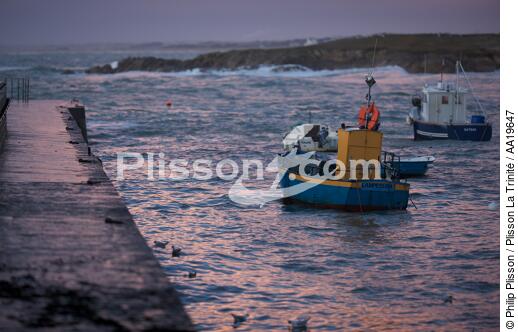Portivy harbour - © Philip Plisson / Plisson La Trinité / AA19647 - Photo Galleries - Saint-Pierre Quiberon