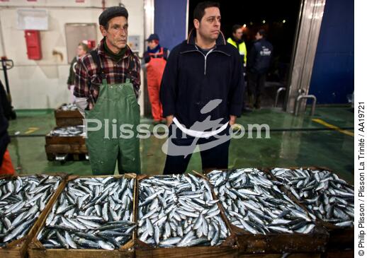 Criée de Vigo - © Philip Plisson / Plisson La Trinité / AA19721 - Nos reportages photos - La pêche à la sardine