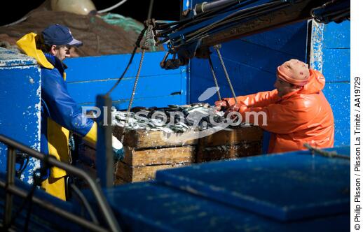 Criée de Vigo - © Philip Plisson / Plisson La Trinité / AA19729 - Nos reportages photos - Pêcheurs du monde