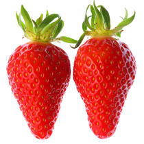 Strawberries. © Philip Plisson / Plisson La Trinité / AA19798 - Photo Galleries - Gourmet food