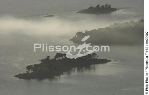Islets of the Gulf of Morbihan. - © Philip Plisson / Plisson La Trinité / AA20007 - Photo Galleries - Mist
