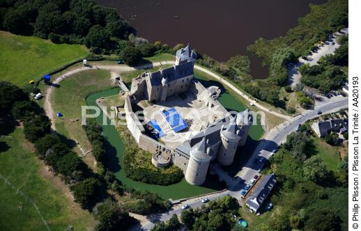 Castle of Suscinio on the peninsula of Rhuys. - © Philip Plisson / Plisson La Trinité / AA20193 - Photo Galleries - Presqu'île de Rhuys