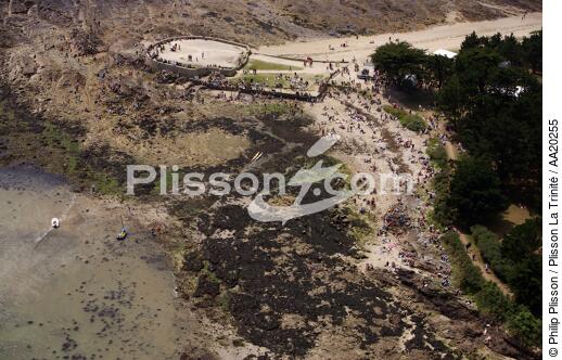 Locmariaquer. - © Philip Plisson / Plisson La Trinité / AA20255 - Nos reportages photos - Rocher
