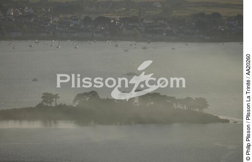 Ilôt sous la brume devant Locmariaquer. - © Philip Plisson / Plisson La Trinité / AA20260 - Nos reportages photos - Ciel