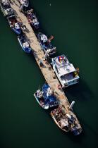 Bâteaux de pêche au ponton,Port-maria. © Philip Plisson / Plisson La Trinité / AA20332 - Nos reportages photos - Mouillage