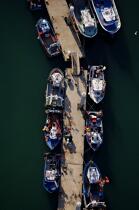 Bâteaux de pêche au ponton,Port-maria. © Philip Plisson / Plisson La Trinité / AA20333 - Nos reportages photos - Pêcheur