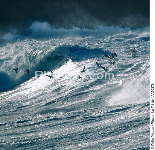 Mer agitée. - © Philip Plisson / Plisson La Trinité / AA20376 - Nos reportages photos - Vague