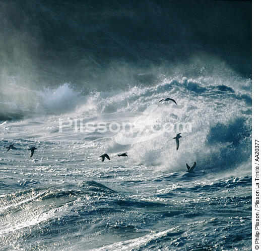 Mer agitée. - © Philip Plisson / Plisson La Trinité / AA20377 - Nos reportages photos - Format carré