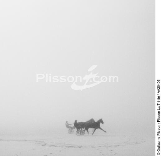 On Dossen beach in Santec. - © Guillaume Plisson / Plisson La Trinité / AA20405 - Photo Galleries - Mammal