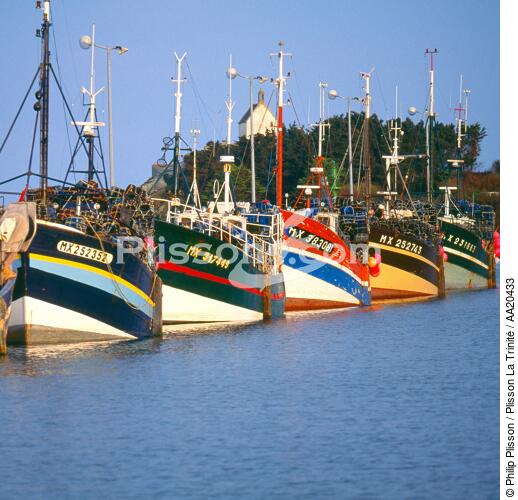 Fishing vessel in Roscoff. - © Philip Plisson / Plisson La Trinité / AA20433 - Photo Galleries - Roscoff