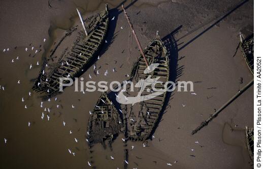 Wrecks. - © Philip Plisson / Plisson La Trinité / AA20521 - Photo Galleries - Gull [small]
